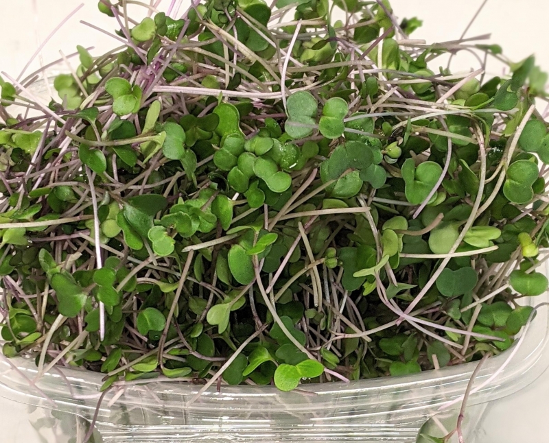 picture of Microgreen Mixes