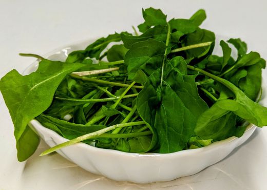 picture of Arugula (Baby Leaf)